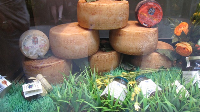 Pecorino cheese